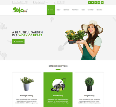 Solo - Gantry 5 Joomla Template